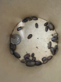 Small Dubia Roaches QTY 200